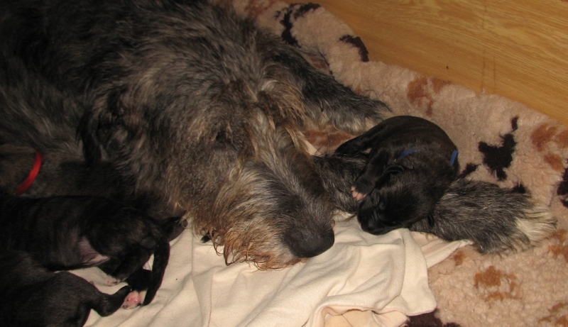 242209358_2216364518503705_8435084345201111095_n